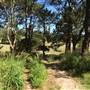 Centennial Park