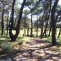 Centennial Park