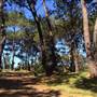 Centennial Park
