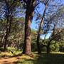 Centennial Park