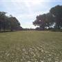 Centennial Park