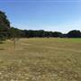 Centennial Park