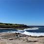 Clovelly Beach