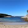 Clovelly Beach