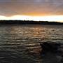 Cobblers Beach - Sydney Harbour National Park