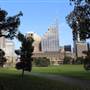 The Domain - Royal Botanic Garden Sydney
