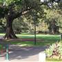 The Domain - Royal Botanic Garden Sydney