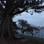 Mrs. Macquarie's Point - Royal Botanic Garden Sydney