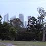 Mrs. Macquarie's Point - Royal Botanic Garden Sydney