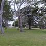 Mrs. Macquarie's Point - Royal Botanic Garden Sydney