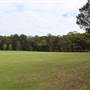 Centennial Park - Ash Paddock