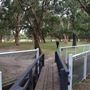 Centennial Park - Ash Paddock