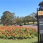 Centennial Park - Cannon Triangle
