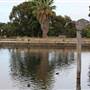 Centennial Park - Duck Pond