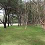 Centennial Park - Equestrian Grounds
