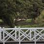 Centennial Park - Lachlan Swamp
