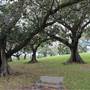 Centennial Park - Mount Steel