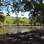 Centennial Park - Musgrave Pond