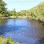 Centennial Park - Musgrave Pond