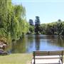 Centennial Park - Musgrave Pond
