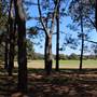 Centennial Park - Pine Grove