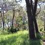 Centennial Park - Sandstone Ridge