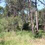Centennial Park - Sandstone Ridge
