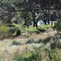 Centennial Park - Sandstone Ridge