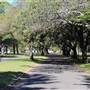 Centennial Park - Federation Way