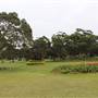 Centennial Park - Frog Hollow