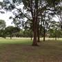 Learners Cycleway Playground - Centennial Park