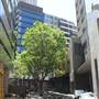 52 Goulburn Street
