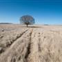 Goulburn Area