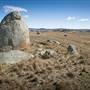 Monaro Plains
