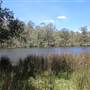 Paddy's River Dam