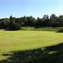 Bedlam Bay Oval adjacent to Gladesville Hospital - Field and River