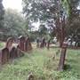 Newtown Cemetery