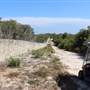North Head Sanctuary - Old School Of Artillery