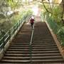 McElhone Stairs