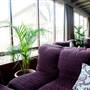 Sponars Chalet