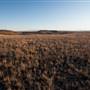 Monaro Plains