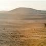 Monaro Plains