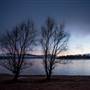 Monaro - Winter Frost