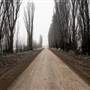 Monaro - Winter Frost