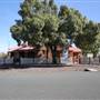 Temora