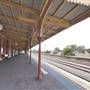 Cootamundra
