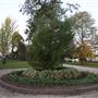 Wagga Wagga Town Centre