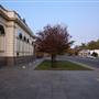 Wagga Wagga Town Centre