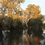 Wagga Wagga Town Centre