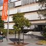 School of Chemistry - The University of Sydney